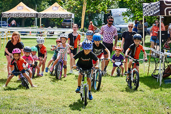 DSC_3950