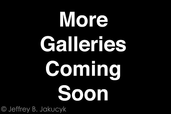 More Galleries Coming Soon