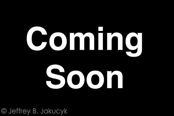 Coming Soon