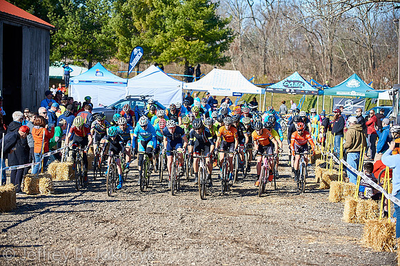 DSC_9550