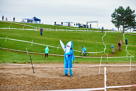 DSC_0678