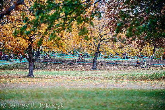 DSC_0832