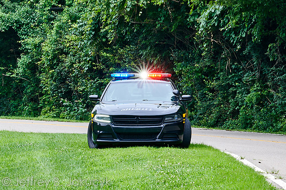 DSC_0679
